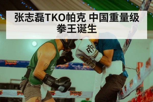张志磊TKO帕克 中国重量级拳王诞生